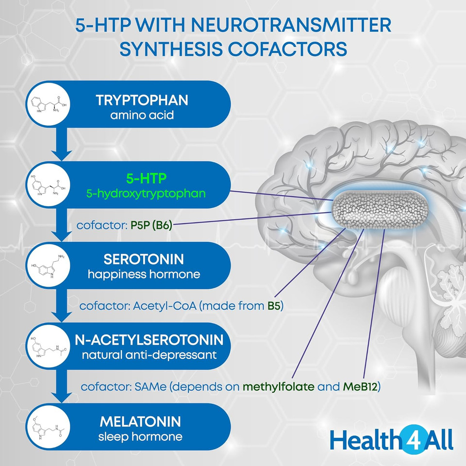 Health4All 5-HTP Supplement 100mg per Capsule 4-Month Supply 120 Capsules High Strength 5 HTP from Griffonia Seed Extract with Serotonin and Melatonin Conversion Precursors for Mood and Sleep Support