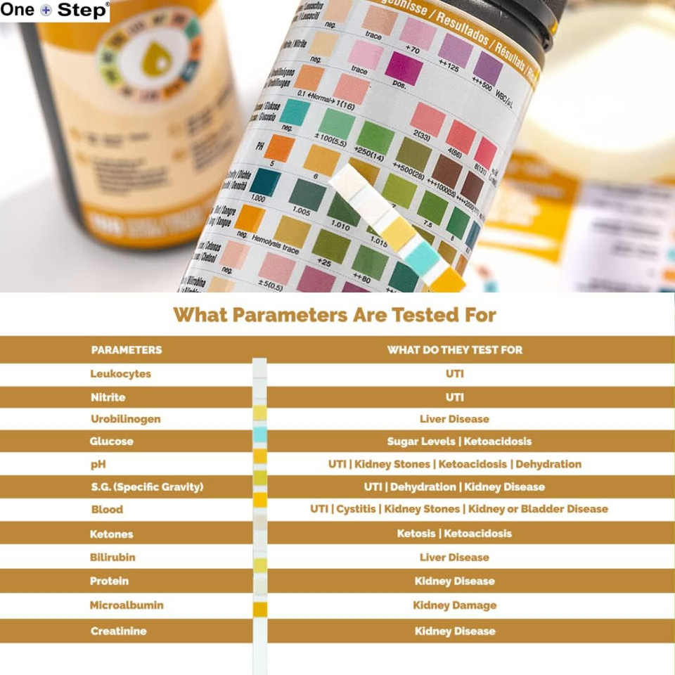 12 Parameter Urine Test Strips Creatinine, Microalbuim, UTI Infection, Ketone, Blood, Glucose Testing Sticks (100 Tests 1 Tub)