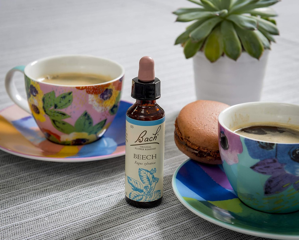 Bach Original Flower Remedies (Rock Water) Live & Let Live, Flexible Mind, Emotional Wellness, Natural Flower Essence, 20ml