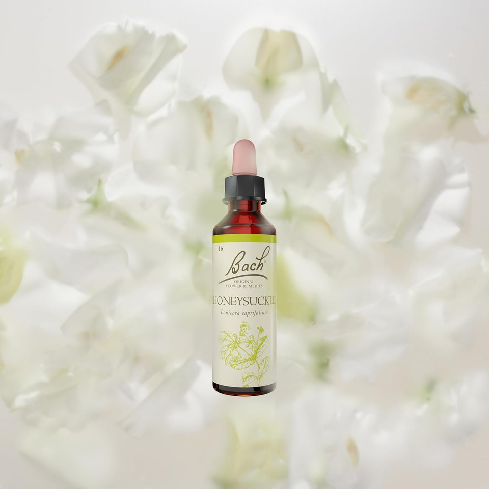 Bach Original Flower Remedies (Honeysuckle) Live The Day, Embrace The Now, Emotional Wellness, Natural Flower Essence, 20ml
