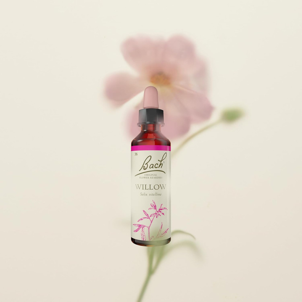 Bach Original Flower Remedies (Willow) Find Joy & Hope, Forgive & Forget, Emotional Wellness, Natural Flower Essence, 20ml