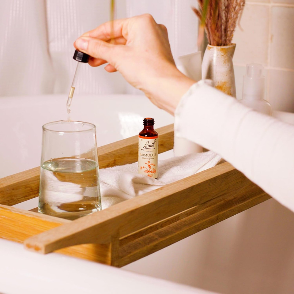 Bach Original Flower Remedies (Willow) Find Joy & Hope, Forgive & Forget, Emotional Wellness, Natural Flower Essence, 20ml