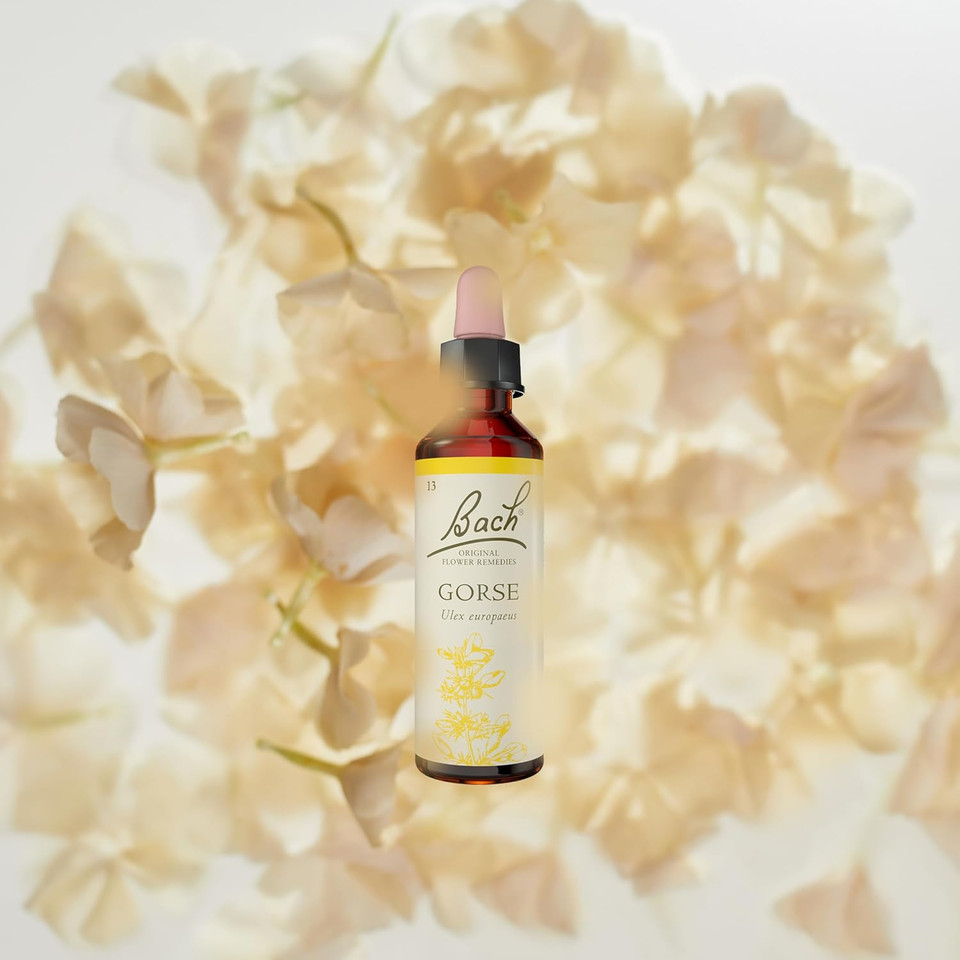Bach Original Flower Remedies (Gorse) Know Your Own Mind, Remain Hopeful, Emotional Wellness, Natural Flower Essence, 20ml