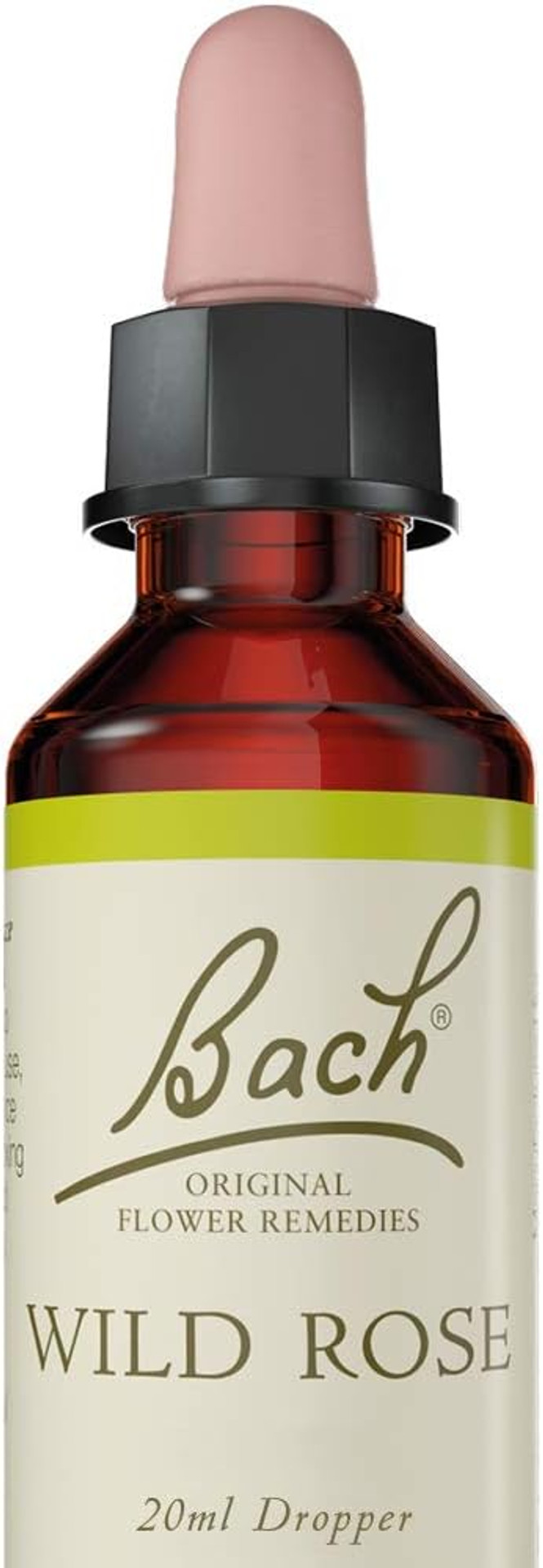 Bach Original Flower Remedies (Wild Rose) Live The Day, Show Enthusiasm, Emotional Wellness, Natural Flower Essence, 20ml
