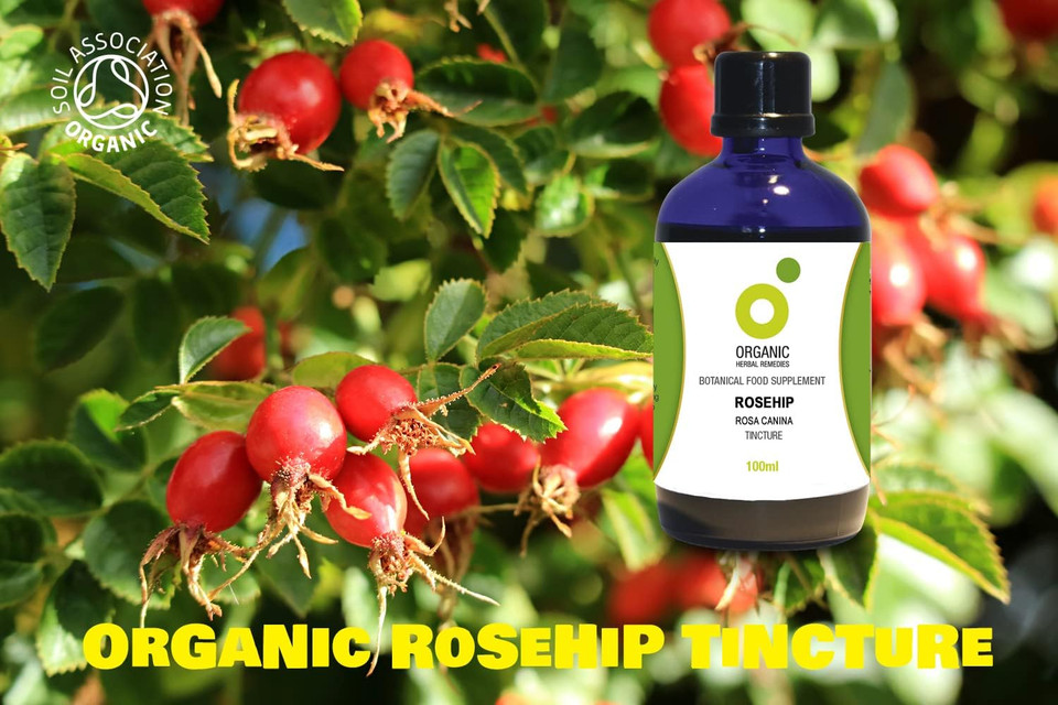 Organic Herbal Remedies 100 ml Rosehip Tincture