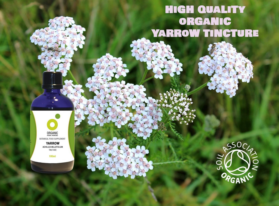 Organic Herbal Remedies 100 ml Yarrow Tincture