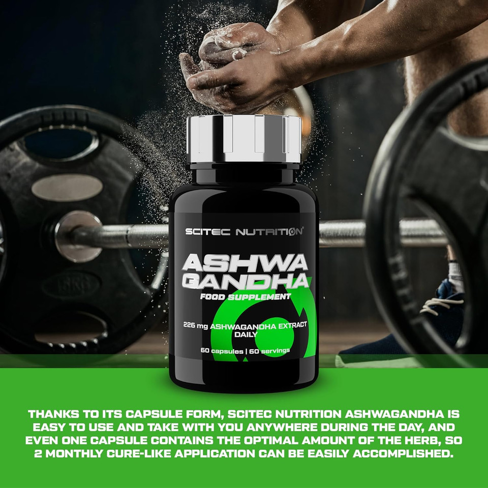 Scitec Nutrition Ashwagandha | Ashwagandha Root extract | to Support your Immune System and Optimal Stress Level, 60 Capsules