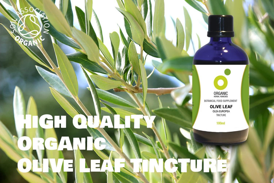 Organic Herbal Remedies 100ml Olive Leaf Tincture