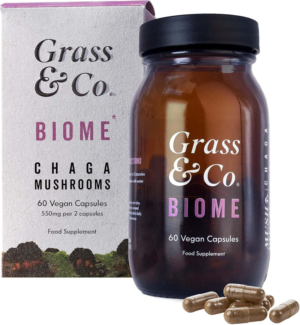 Grass & Co. | BIOME Chaga Mushroom & Turmeric Powder | 1867mg Chaga, 1000mg Turmeric & 500mg Ginger | Gut Health, Digestion & Immunity Support | 46 Servings