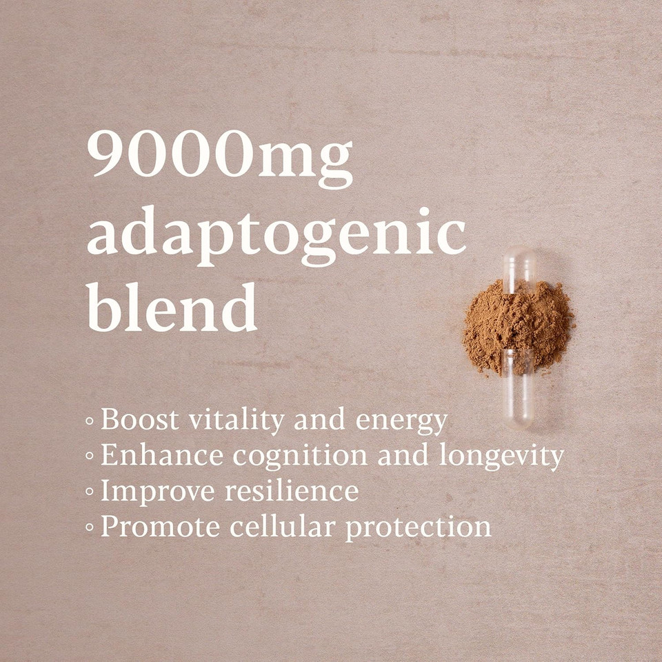 Higher Nature - Mushroom Vitality - Mushroom Complex for Daily Resilience - 8 Extracts Including Lion's Mane, Reishi, Shiitake - True Food® Formula - Immunity, Energy & Vitality - 60 Capsules
