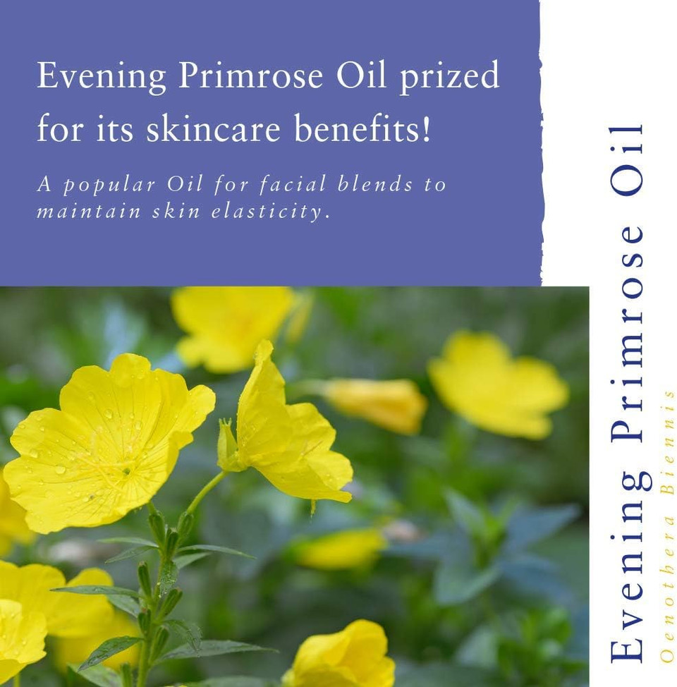 Absolute Aromas Evening Primrose (Oenothera Biennis) Oil 50ml - Pure, Natural, Cold-Pressed, GMO-Free Vegan and Cruelty Free  Moisturising Carrier Oil for Body and Facial Massage Absolute Aromas Evening Primrose (Oenothera Biennis) Oil 50ml - Pure, Natural, Cold-Pressed, GMO-Free Vegan and Cruelty Free  Moisturising Carrier Oil for Body and Facial Massage