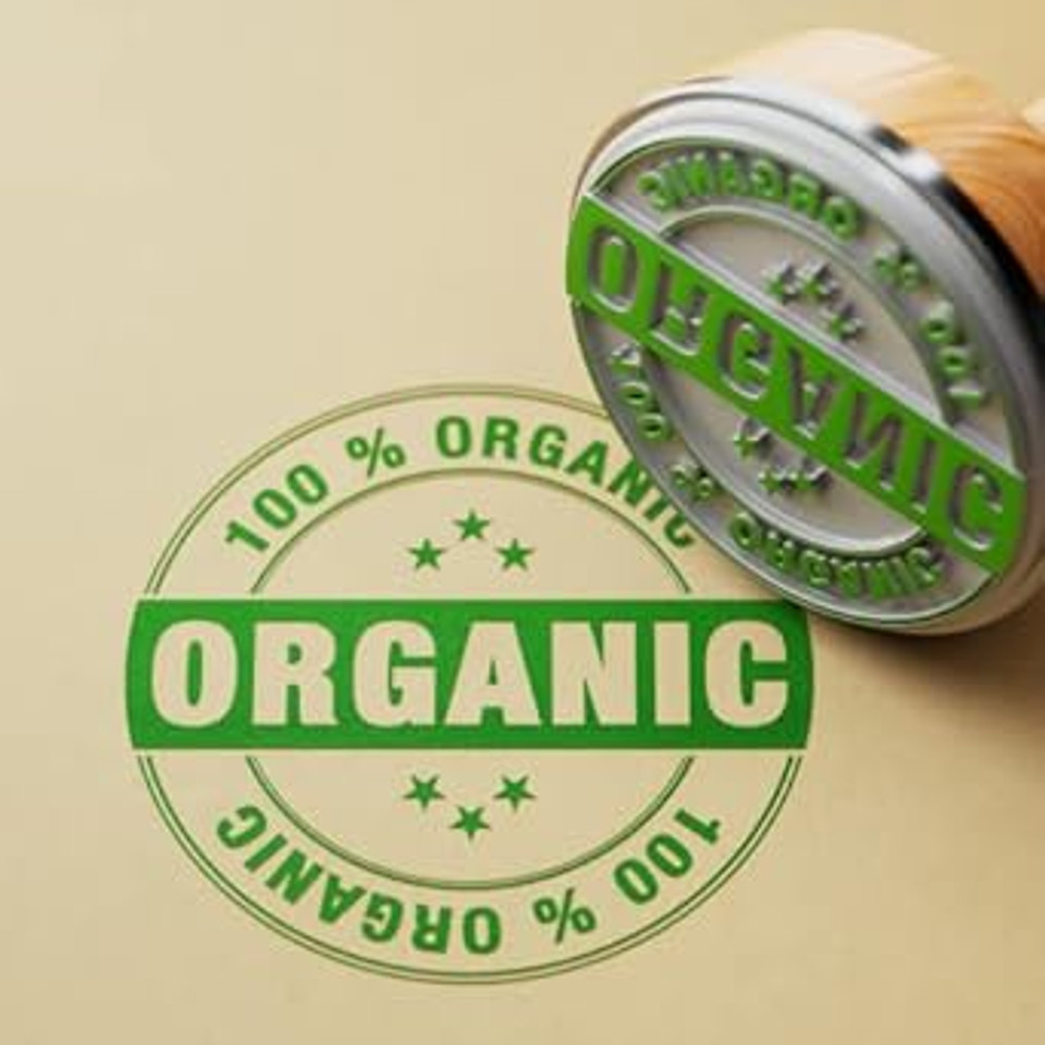 Mystic Moments | Almond Sweet Virgin Organic Carrier Oil 250ml | Cold Pressed Prunus Amygdalus Dulcis | Rich in Vitamins & Fatty Acids | Skin & Hair Nourishment | Natural Massage Oil | Vegan GMO Free Mystic Moments | Almond Sweet Virgin Organic Carrier Oil 250ml | Cold Pressed Prunus Amygdalus Dulcis | Rich in Vitamins & Fatty Acids | Skin & Hair Nourishment | Natural Massage Oil | Vegan GMO Free