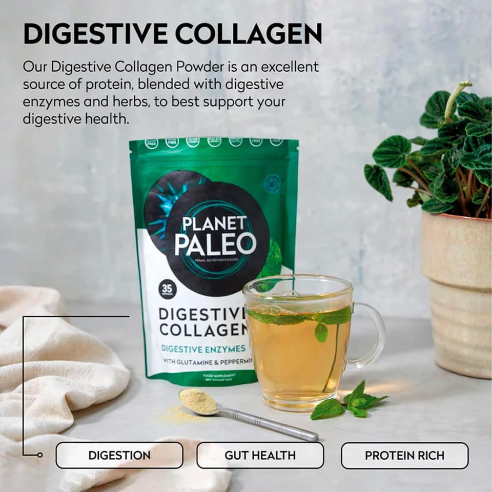 Planet Paleo Digestive Collagen Powder for Gut Health (245g, 35 Servings) Grass-Fed Bovine Collagen Peptides, with Liquorice, L-glutamine and Probiotics, Supports Digestion & Nutrient Absorption, Mint