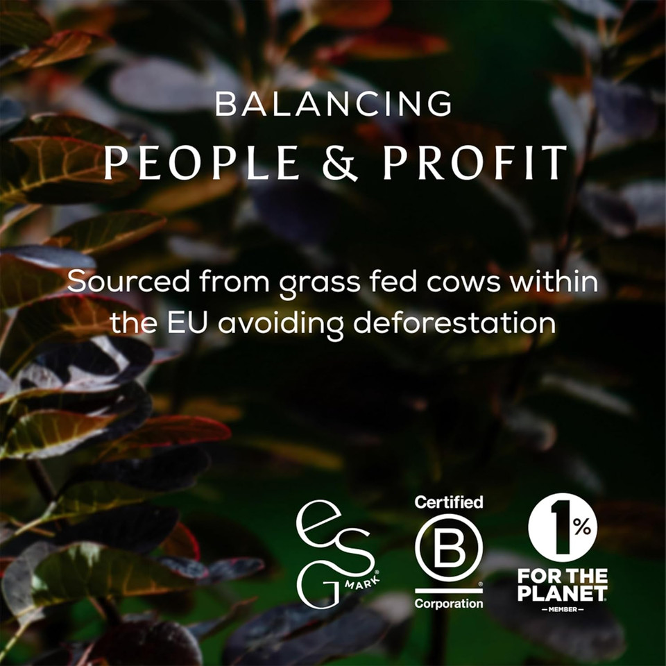 Ancient + Brave True Collagen 200g - Grass-Fed Bovine Collagen Powder - 100% Hydrolysed Collagen Peptides (Type 1) - High Protein, Fasting, Keto - Anti-Ageing, Skin, Hair & Nail Health