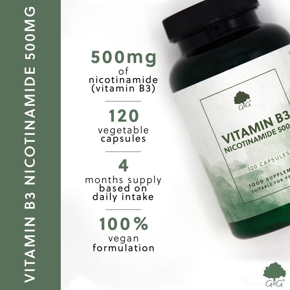 Vitamin B3 Nicotinamide 500mg | Non-Flush High Strength Vitamin B3 | 120 Vegan Capsules | G&G Vitamins (Pack of 2)