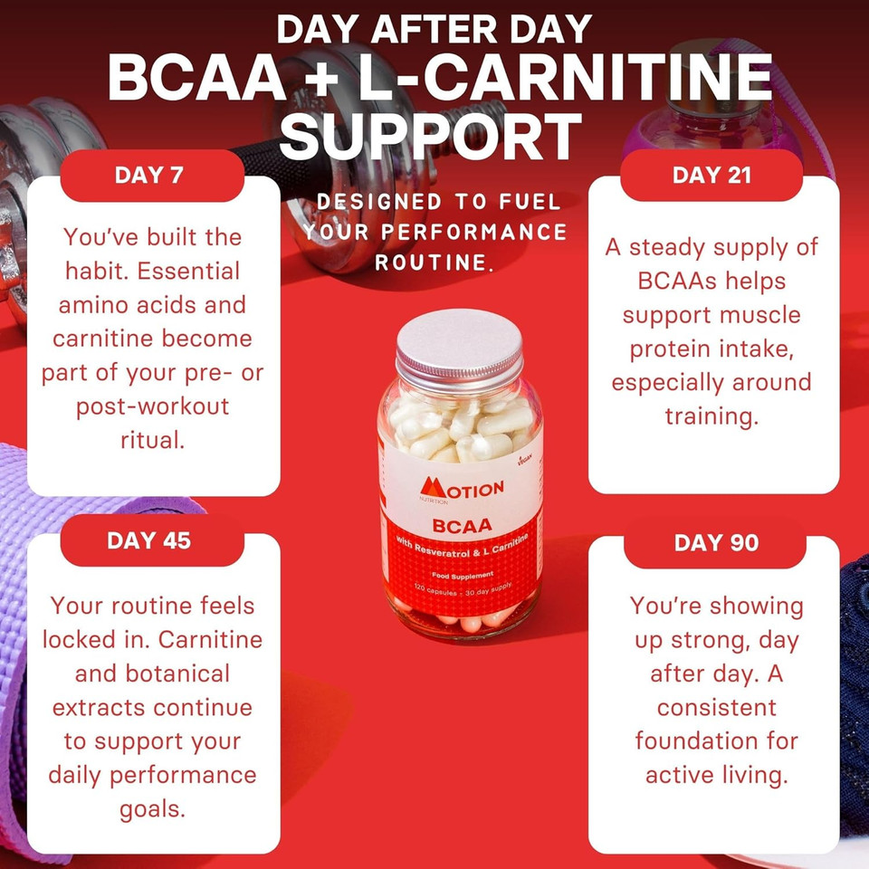 Motion Nutrition Body Strength BCAA  High Performance BCAA Capsules with Resveratrol and L-Carnitine  Strength and Recovery - Vegan/Anti-Oxidant Rich (120 Capsules)