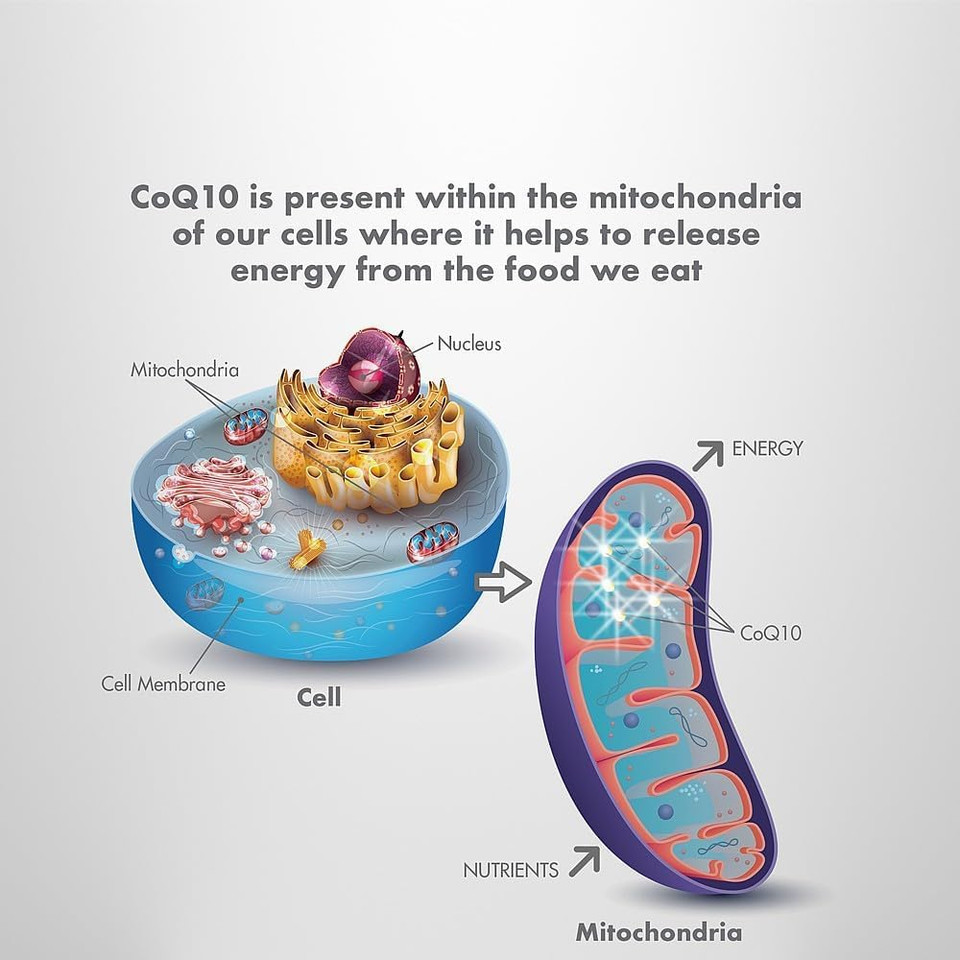 Co Enzyme Q10 [CoQ10] 100mg/200mg/Ubiquinol | One-a-Day | High Potency | Natural Source | Easy, Fast Absorption | High Strength q10 Supplement | UK Made (60, 200mg)