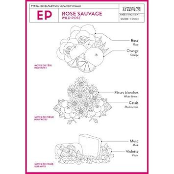Compagnie De Provence Savon De Marseille Extra Pure Liquid Soap - Wild Rose - 10 Fl Oz Plastic Pump Bottle