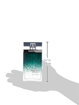 Franck Olivier In Black Edt Spray 2.5 Oz