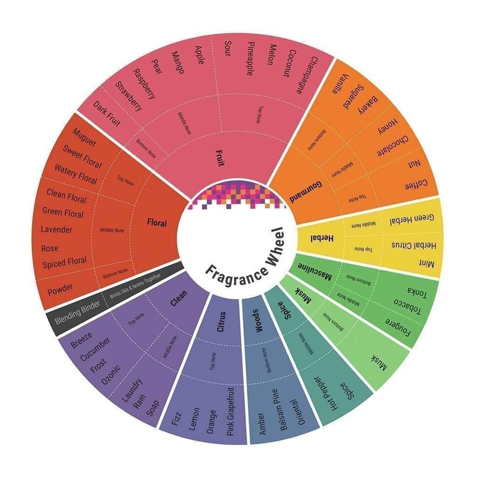 Ajmal Neutron By Ajmal
