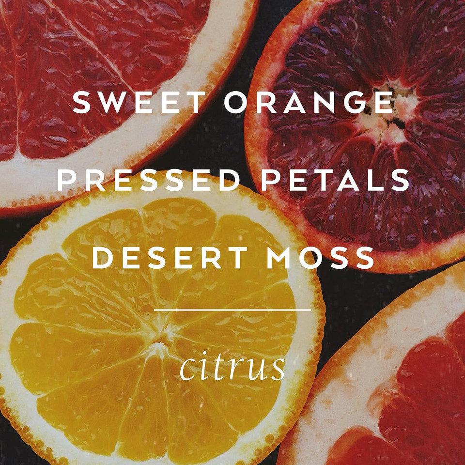 Tokyomilk Dark First Base Eau De Parfum, Anjou Pear, Almond Blossom, Soft Musk & Cedarwood  Sophisticated & Elegant Design, Men & WomenS Perfume, Eau De Parfum Spray For Women