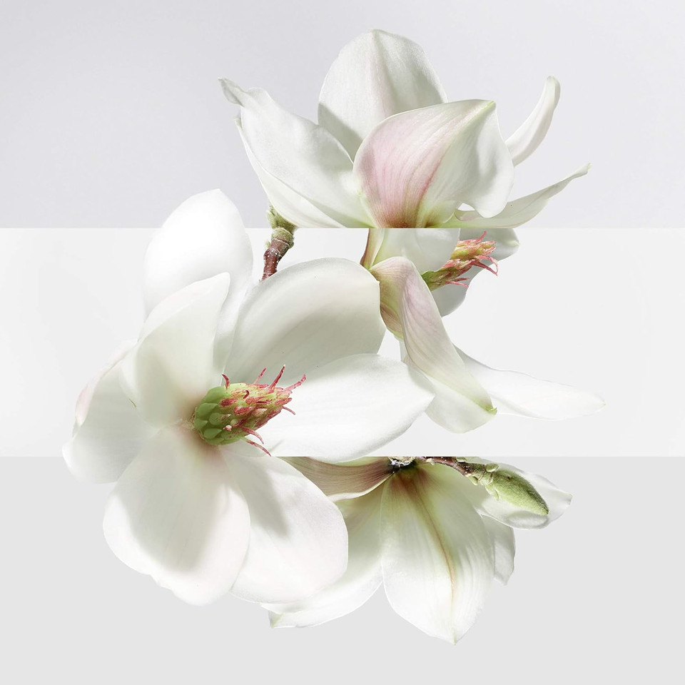 Un Jardin Sur La Lagune By Hermes For Women 3.3 Oz Eau De Toilette Spray