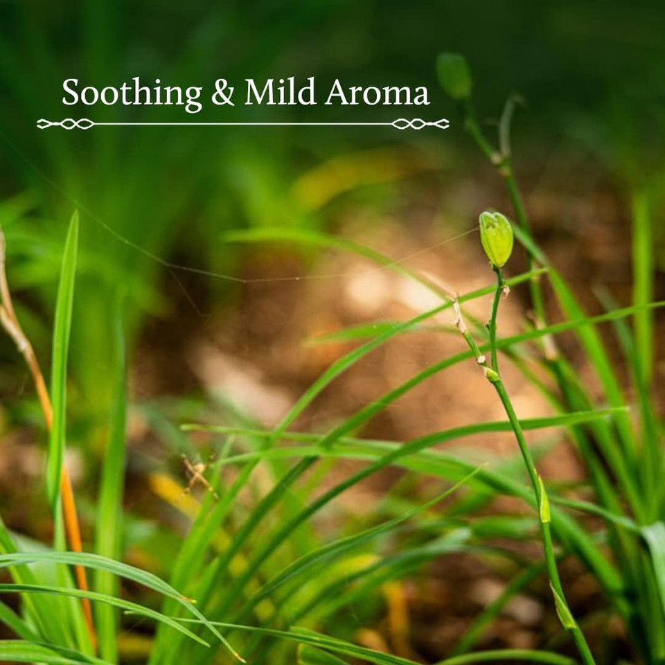 Blue Nectar Shubhr Steam Distilled Vetiver Toner Water & Cooling Calming Face Tonic Mist |Alcohol Free | Chemical & Preservative Free