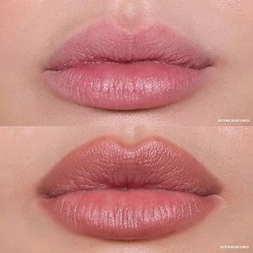 Refy Blur Liner Lip Liner Stone (Light Nude) + Bonus Entel Pomegranate Sheet Masque With Collagen