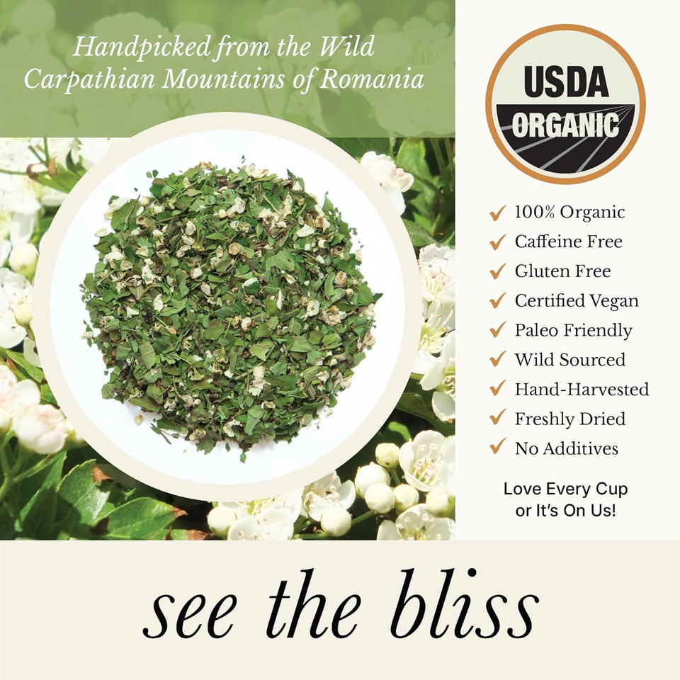 Wild Bliss Organic St Johns Wort Tea - Caffeine Free Mood Balance Support Herbal Tea - Pharmacopoeia Potency - Loose Leaf 3.52 Oz - 50 Servings