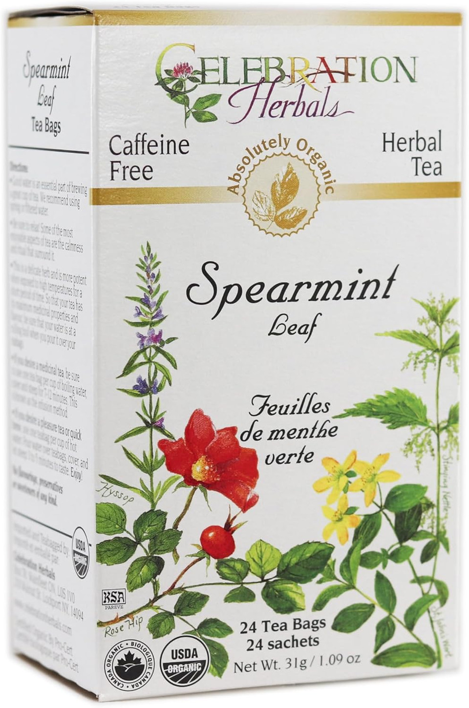 Celebration Herbals Spearmint Leaf 24 Count