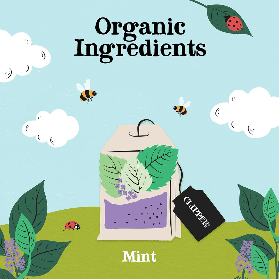 Clipper Tea Lemon & Ginger Teabags  Caffeine Free, Usda Organic, Great Hot Or Iced  Aromatic, Natural, Fair & Delicious  200 Tea Bags