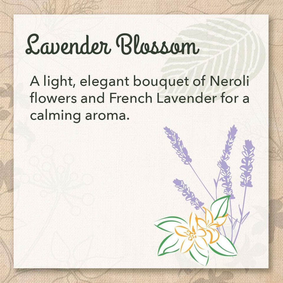 Eco-Me Plant Based Concentrated Laundry Detergent, Fragrance-Free, Clear, Unscented, 32 Fl.Oz