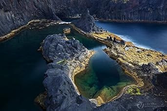 Atum Santa Catarina Santa Catarina Tuna Fillet In "Molho Cru"