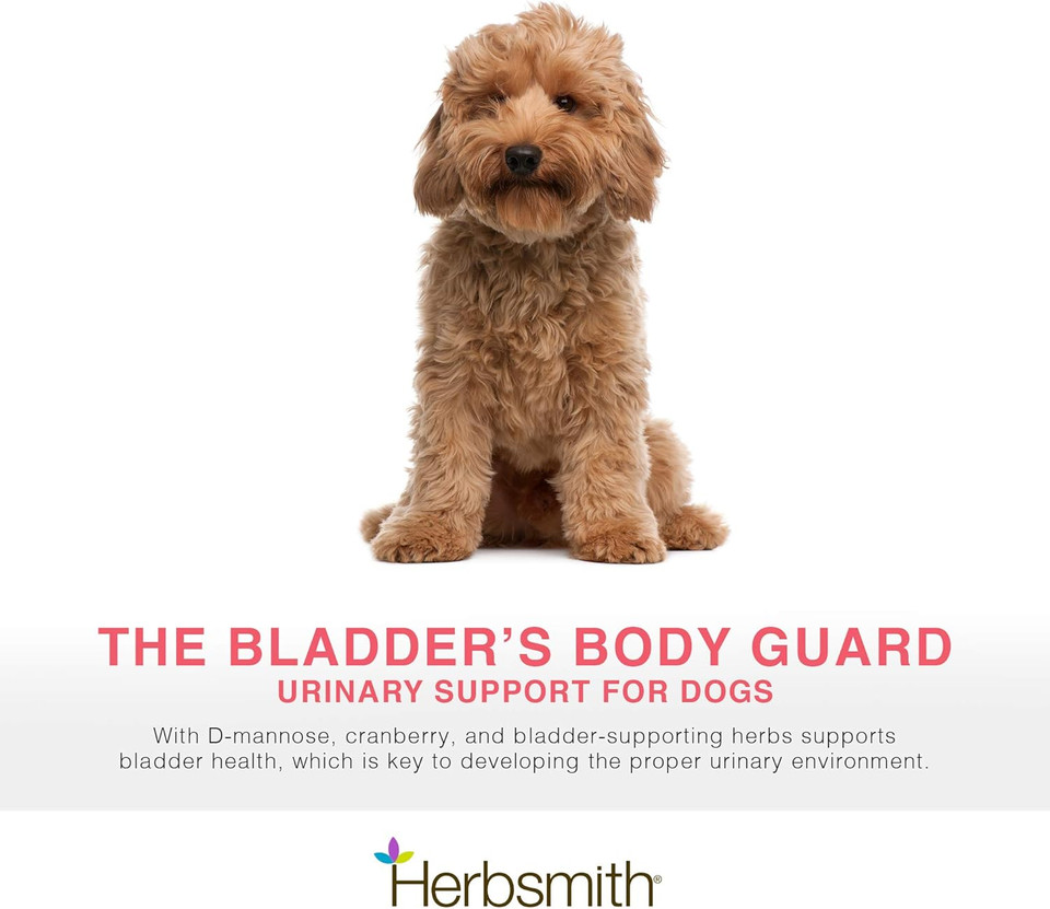 Herbsmith Bladder Care For Cats And Dogs  Maintains Urinary Health For Dogs And Cats  Dog And Cat Kidney Support  500G Powder Herbsmith Bladder Care For Cats And Dogs  Maintains Urinary Health For Dogs And Cats  Dog And Cat Kidney Support  500G Powder