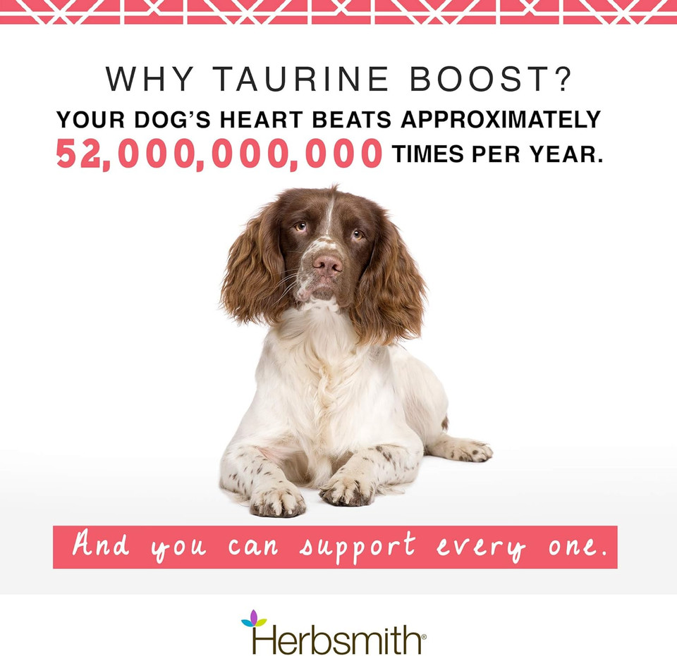 Herbsmith Taurine Boost - Cardiac And Heart Support For Dogs And Cats - Taurine Supplement For Dog And Cat Heart Health  With Coq10, Taurine And L-Carnitine For Dogs - 150G