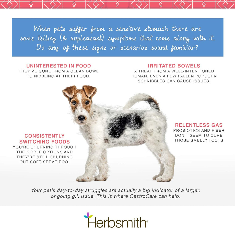 Herbsmith Gastrocare - For Cats & Dogs With Sensitive Stomachs - Cat And Dog Digestive Support - Ease Canine And Feline Sensitive Stomach - 500G