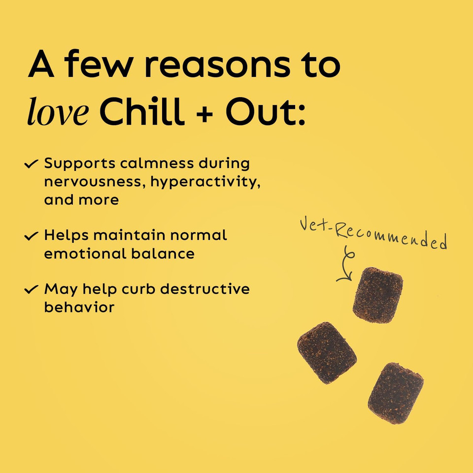 Super Snouts Chill + Out 30 Soft Chews  Calming Chews For Dogs And Cats Help Maintain Your PetS Emotional Balance  Made In The Usa