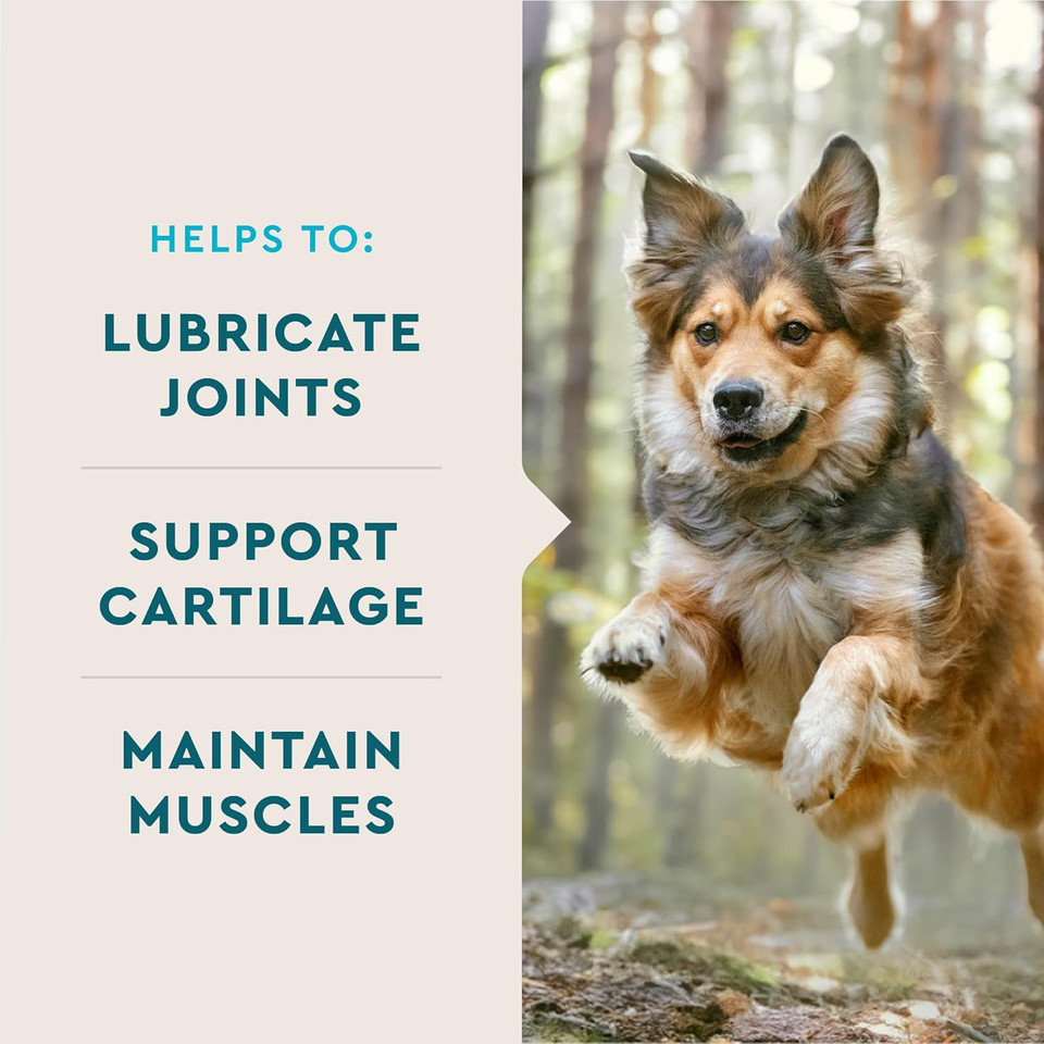 Vetiq Hip & Joint Health Supplement For Dogs, With Glucosamine, Chondroitin & Msm, Chewable Tablets For Dogs, Chicken Flavor, 60 Count