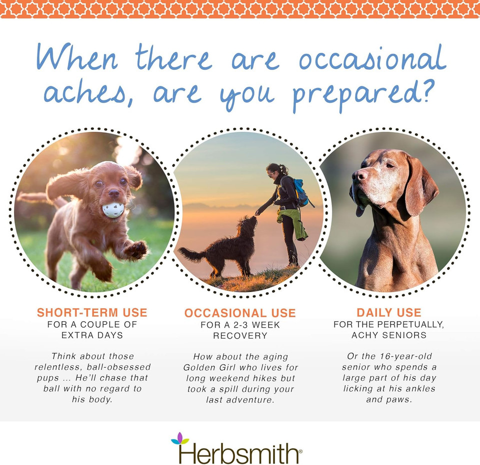 Herbsmith Comfort Aches  Herbal Pain Relief For Dogs + Cats  For Pet Aches + Pains  Anti-Inflammatory Supplement  20 Tablets