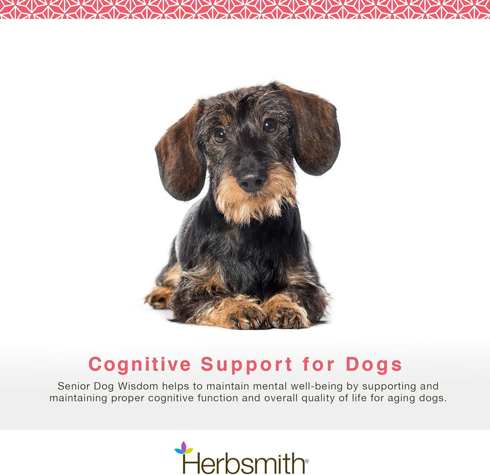 Herbsmith Senior Dog Wisdom  Dog Dementia Supplement  Dha For Senior Dog Brain Health - Senior Supplement For Dogs- 500G