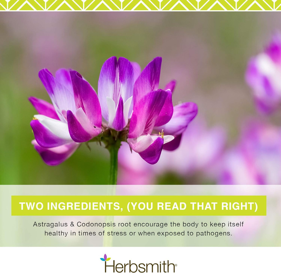 Herbsmith, Immune Support - 500G Powder