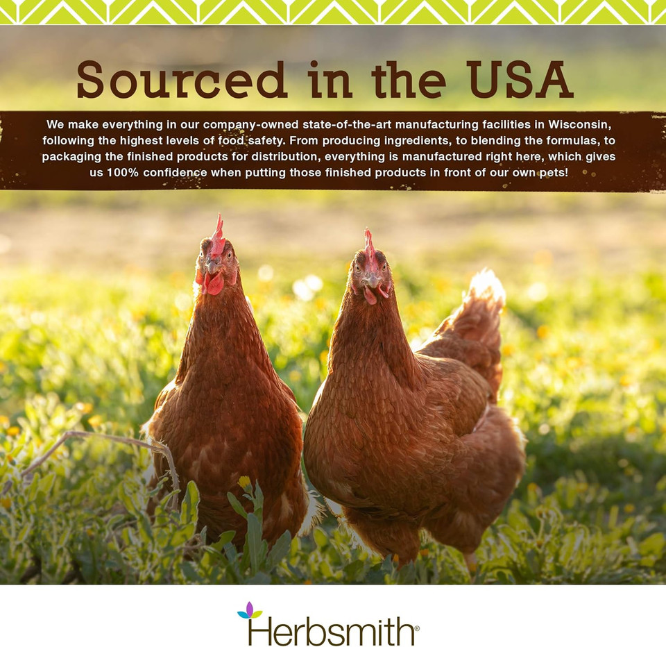 Herbsmith Kibble Seasoning  Freeze Dried Raw Salmon  Diy Raw Coated Kibble Mixer - Dog Food Topper For Picky Eaters, 6.2 Oz [Bundle X2]