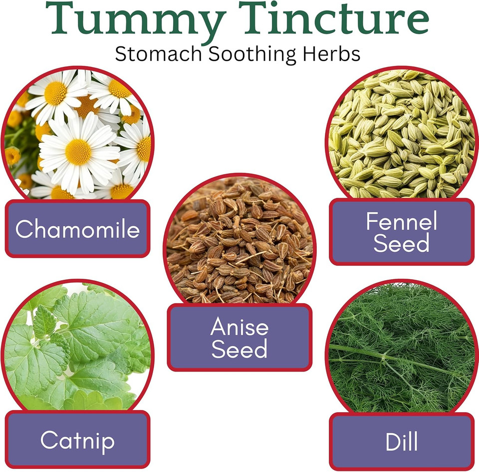 Herb Lore Tummy Tincture  Usda Organic Herbal Digestive System Support  Alcohol-Free Kid Safe Drops For Occasional Gas, Bloating, Colic, & Upset Stomach - 2 Fl Oz