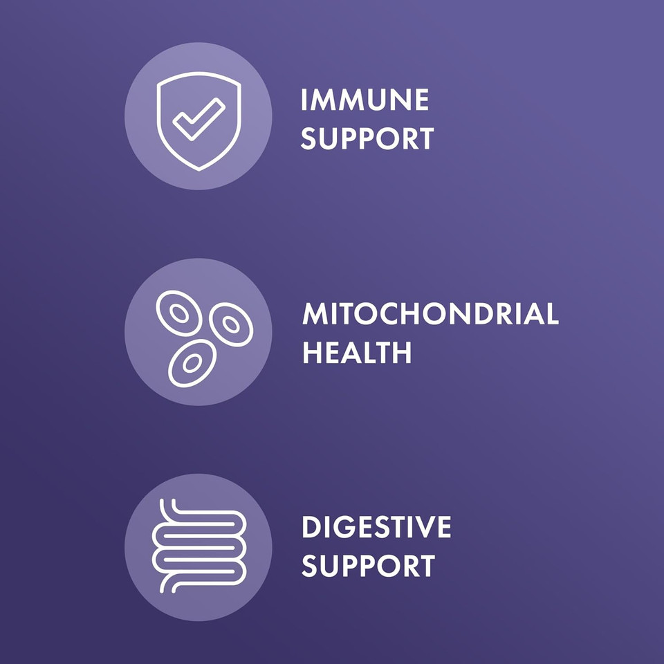 Dr. Mercola Full Spectrum Enzymes - 22 Different Enzymes - Supports Digestive & Immune Health - Helps Digest Carbohydrates, Fats, Proteins & Fiber - Non-Gmo, Gluten-Free & Soy-Free - 90 Capsules