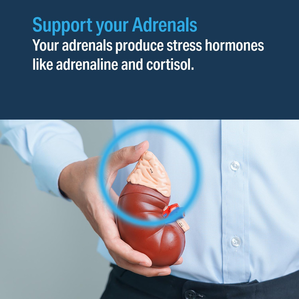 Advanced Adrenal Factor  Adrenal Support Supplement  Non-Gmo, Gluten-Free, Vegan  120 Tablets
