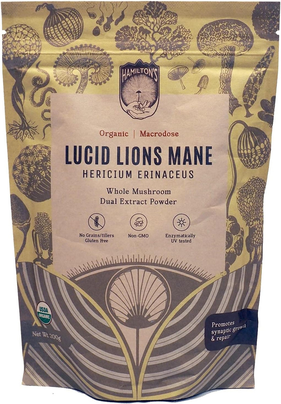 HamiltonS Lucid LionS Mane | Organic Mushroom Extract Powder For Synapse Repair, Nerve Growth Factor, Focus, Memory, And Concentration | High Potency | 30% Beta Glucans | Gf, Non-Gmo, Vegan (500G)
