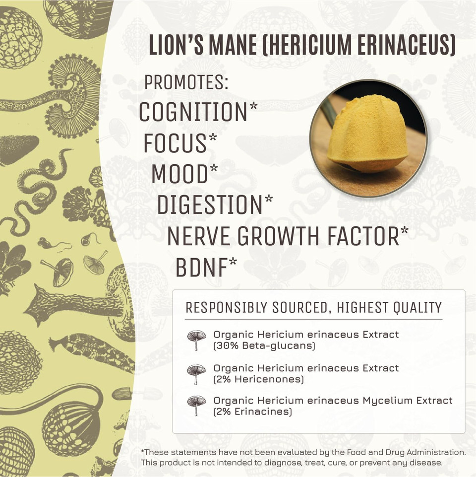 HamiltonS Lucid LionS Mane | Organic Mushroom Extract Powder For Synapse Repair, Nerve Growth Factor, Focus, Memory, And Concentration | High Potency | 30% Beta Glucans | Gf, Non-Gmo, Vegan (500G)