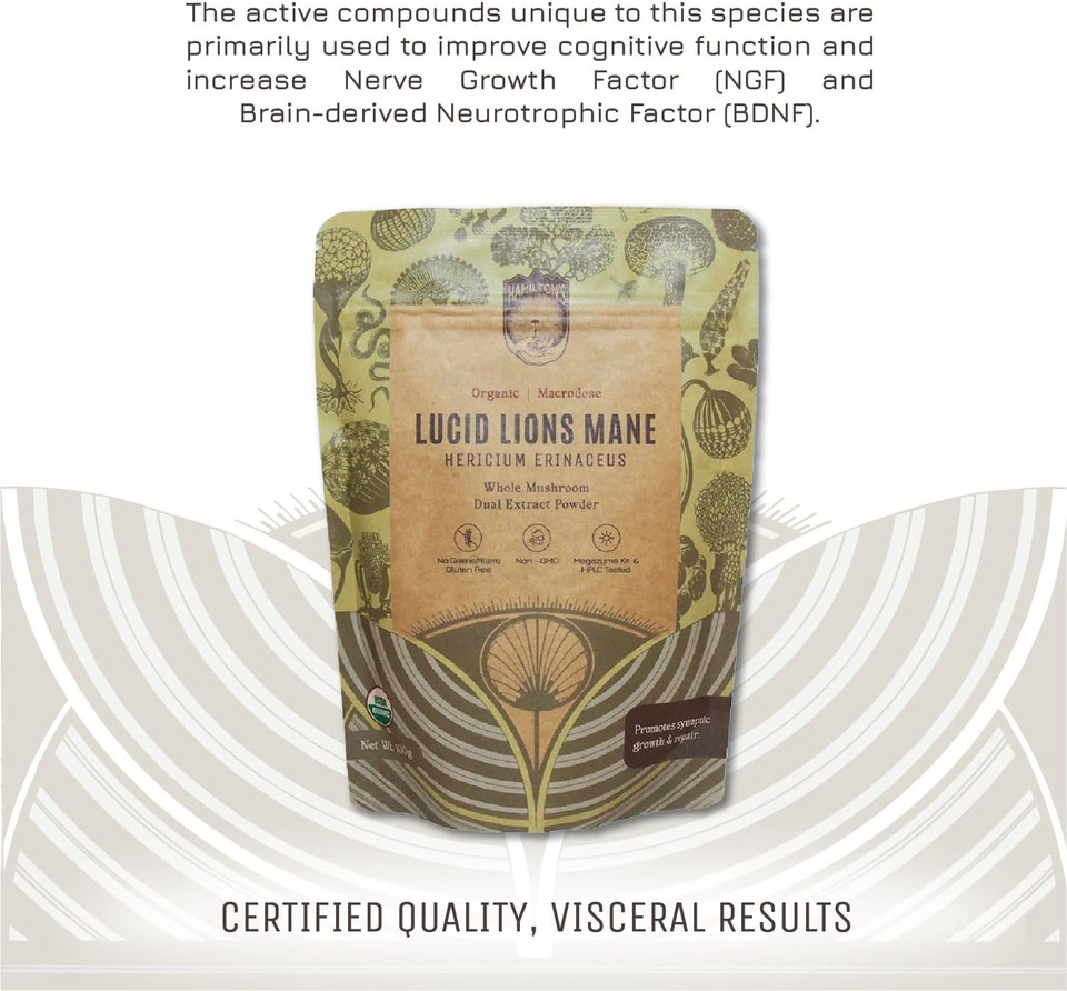 HamiltonS Lucid LionS Mane | Organic Mushroom Extract Powder For Synapse Repair, Nerve Growth Factor, Focus, Memory, And Concentration | High Potency | 30% Beta Glucans | Gf, Non-Gmo, Vegan (500G)