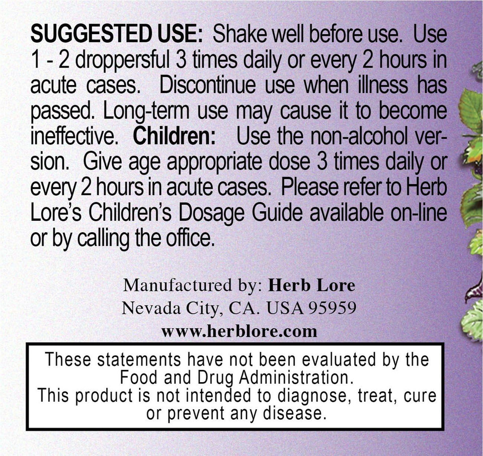 Herb Lore Echinacea Tincture 2 Fl Oz - Alcohol Free Echinacea Drops - Liquid Immune Support For Kids & Adults * - Echinacea Augustifolia & Echinacea Purpurea Extract