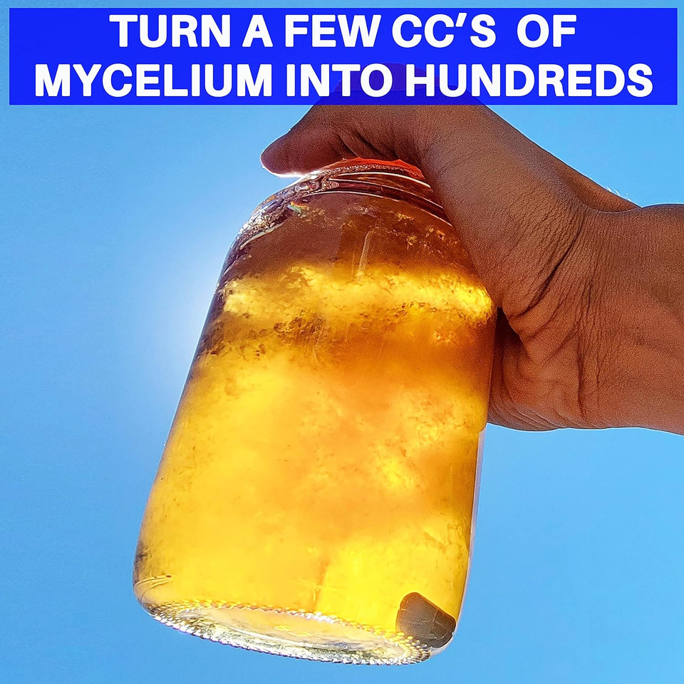 Mushroom Liquid Culture Premix 100 Grams - Evviva Sciences  Make Liters Of Your Own Mushroom, Mycelium Liquid Cultures - Professional Lab Performance - Excellent For Mycology Projects